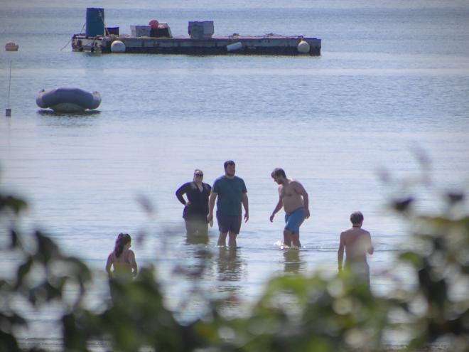 My friends seen through the foliage approaching the beach