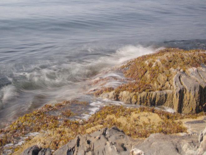 a long exposure of waves against the rocks